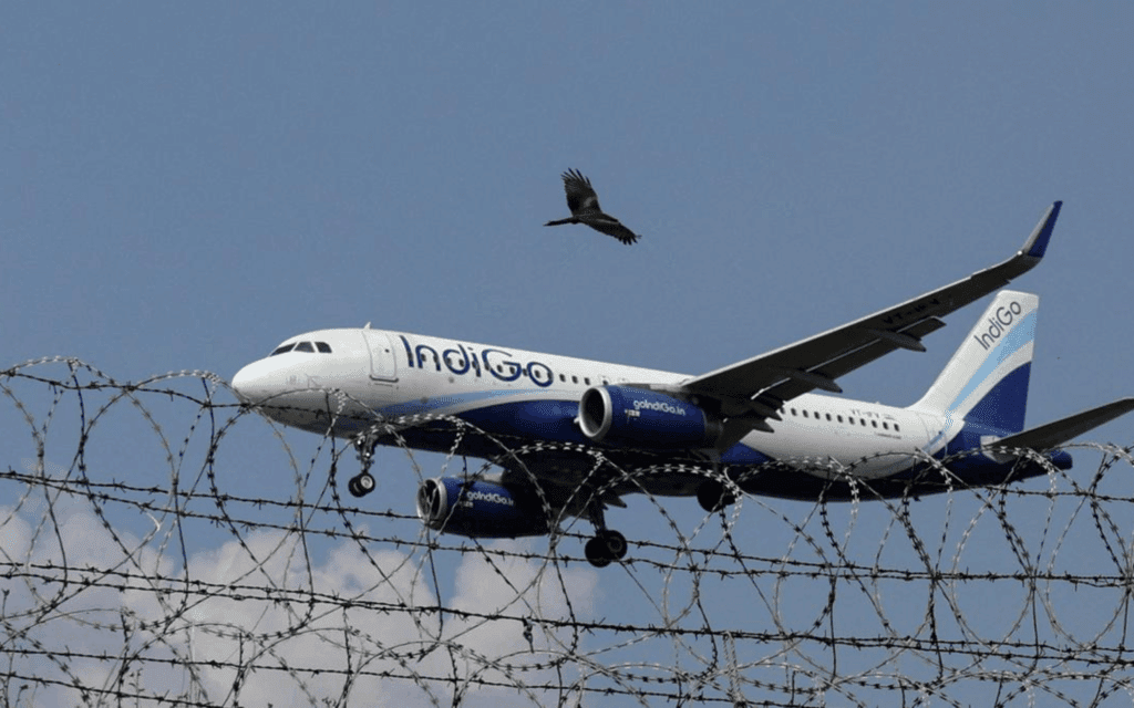 IndiGo Q2 Loss