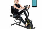 Recumbent Exercise Bike