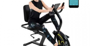 Recumbent Exercise Bike