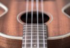 Best Concert Ukuleles