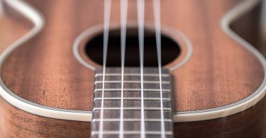 Best Concert Ukuleles